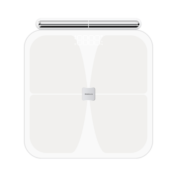 Smart Body Scale