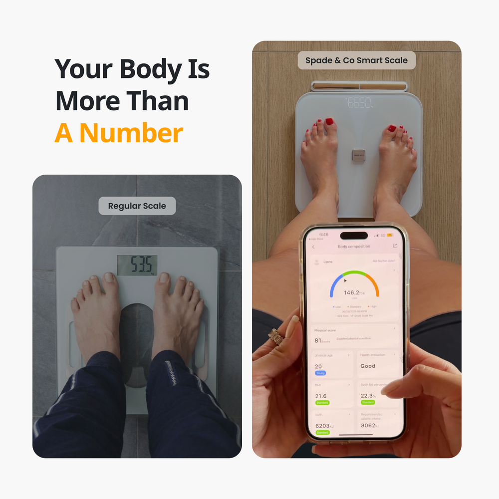 Smart Body Scale – Spade & Co