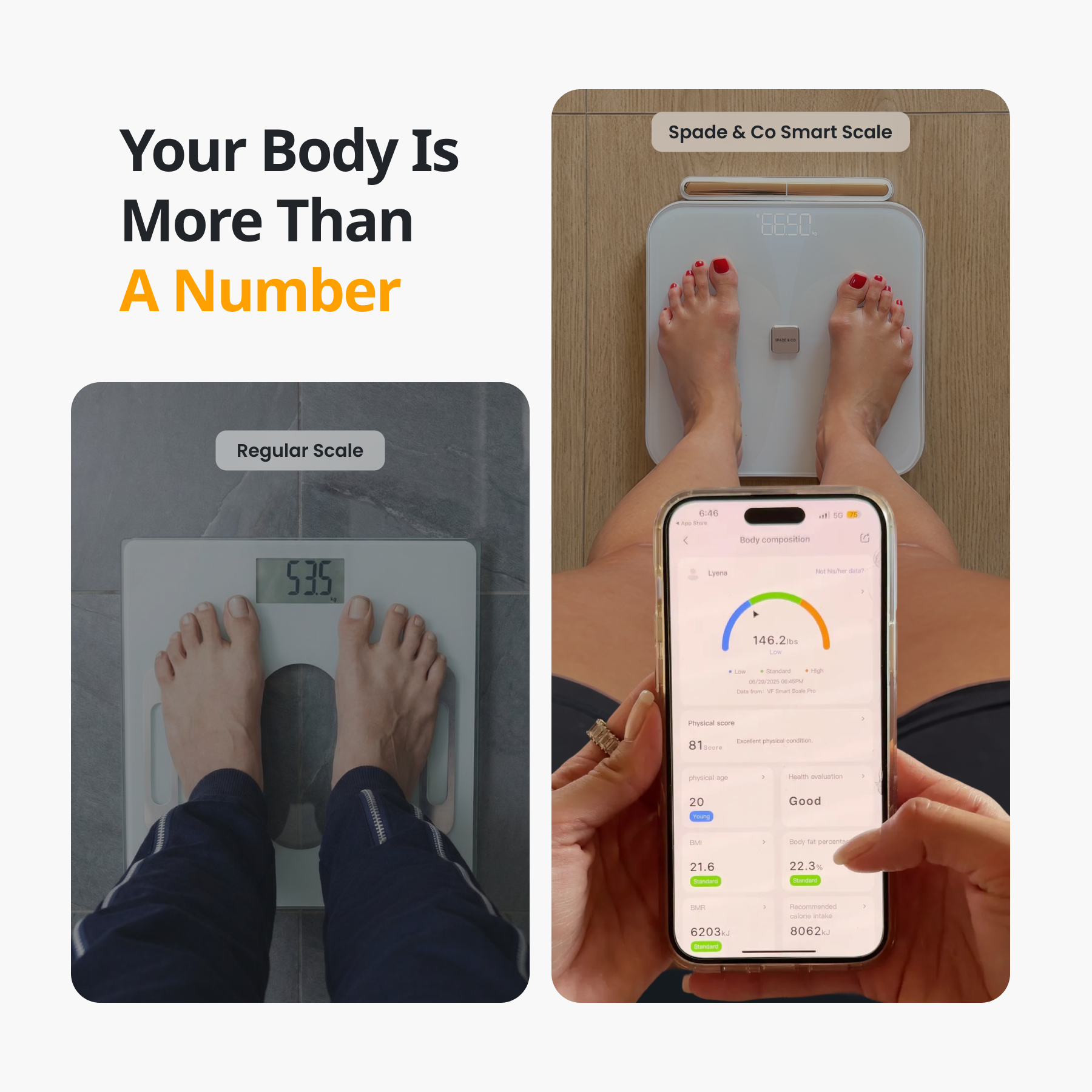 Smart Body Scale