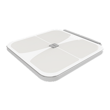 Smart Body Scale