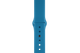 Delft Blue Sport Band for 2019 Smartwatch